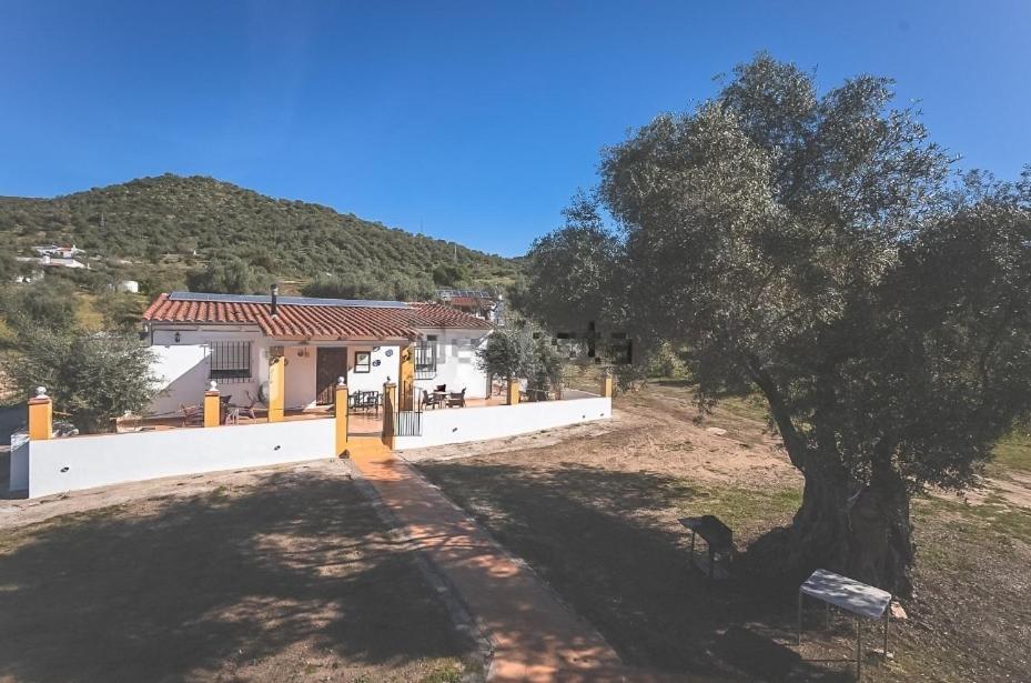 Casa Rural Los Naranjo 헤레스 데 로스 카바예로스 외부 사진